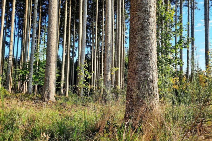 Zuckerbauernhof Weideblick - foto 33