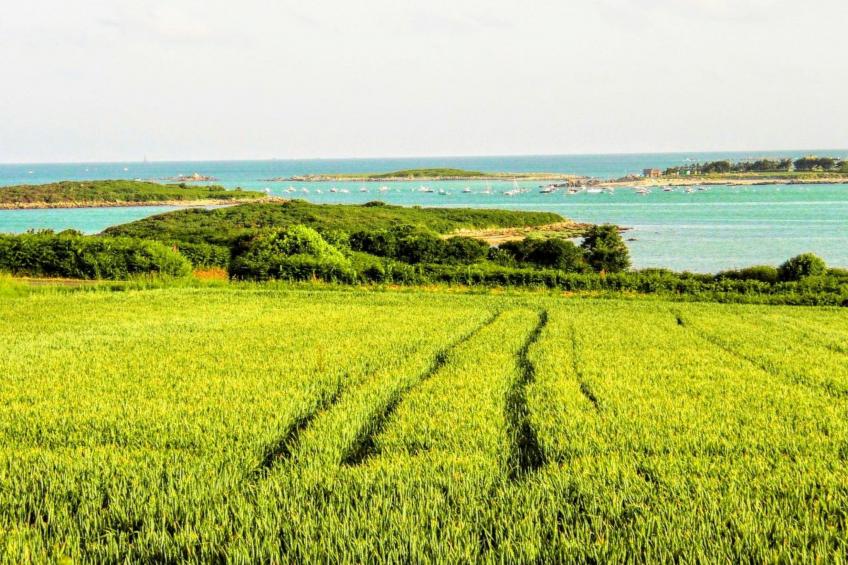 Residenz Keryvet, Meerblick, Strand 2 Minuten entfernt - foto 3