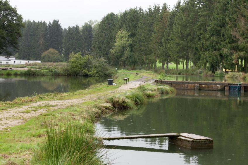 Ferienhaus Gerolstein-Müllenborn - foto 28