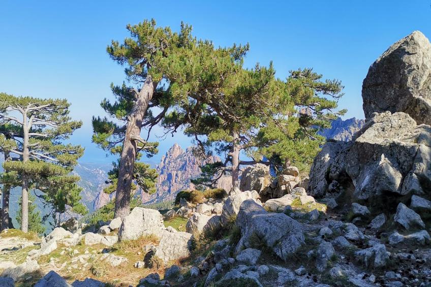 Studio Kalliste pour 2 personnes - foto 22