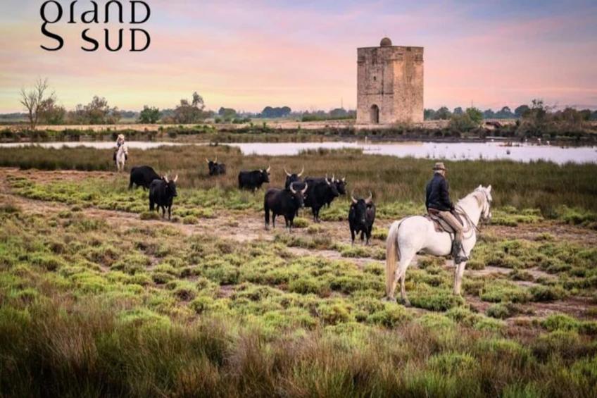 Résidence Appartement "le Refuge Du Bord De Mer" Au Grau Du Roi, 100m De La Plage - foto 20
