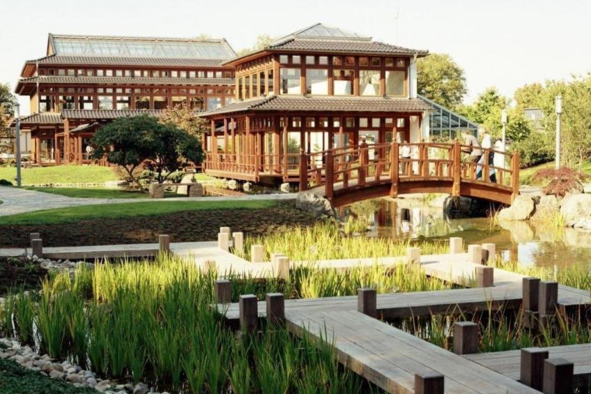 Garten-Ferienwohnung - foto 23