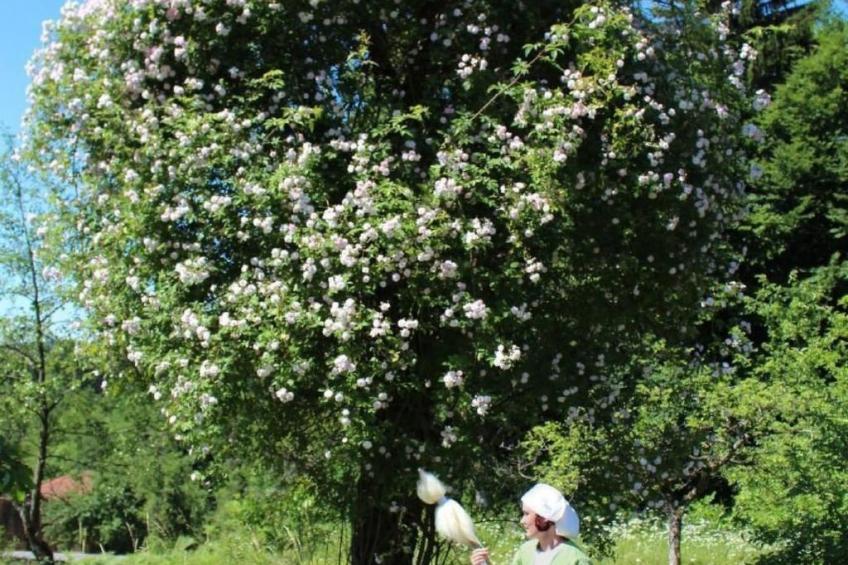 Fewo Altes Schulhaus - foto 15