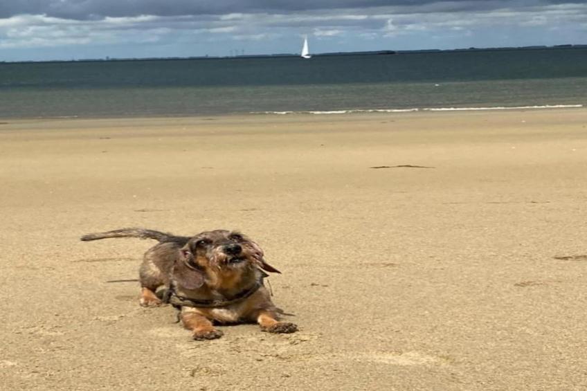 Resort Waterrijk Oesterdam 12 - foto 32