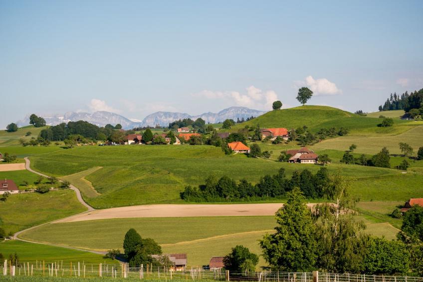 Lamahof Tschäppel - foto 9