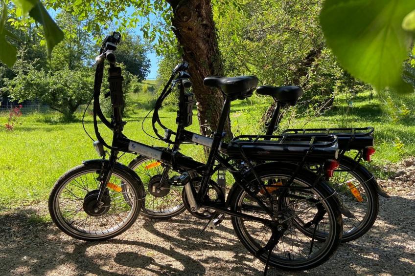 in Chouzy-Sur-Cisse mit Grill, Terrasse und Garten - foto 33