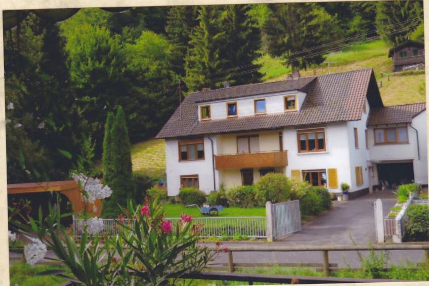 im Anbau - foto 7