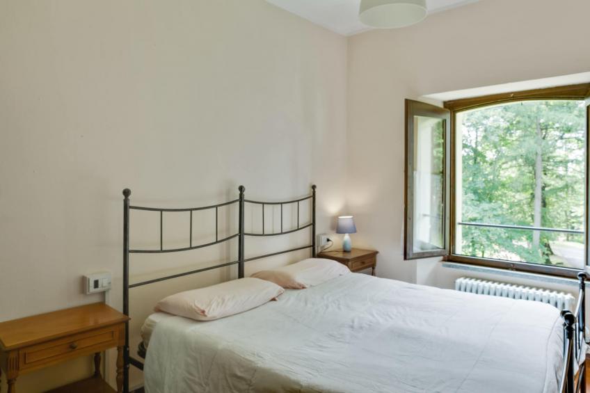 Rododendro - foto 15