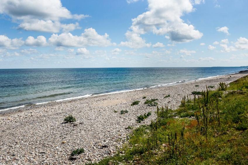 "Lisbeth" - 400m from the sea in Sealand - foto 22