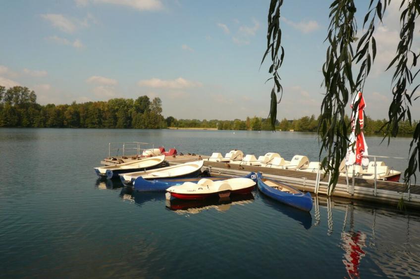 17769 - foto 20