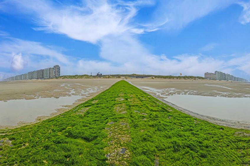 Viking 0508 - foto 22