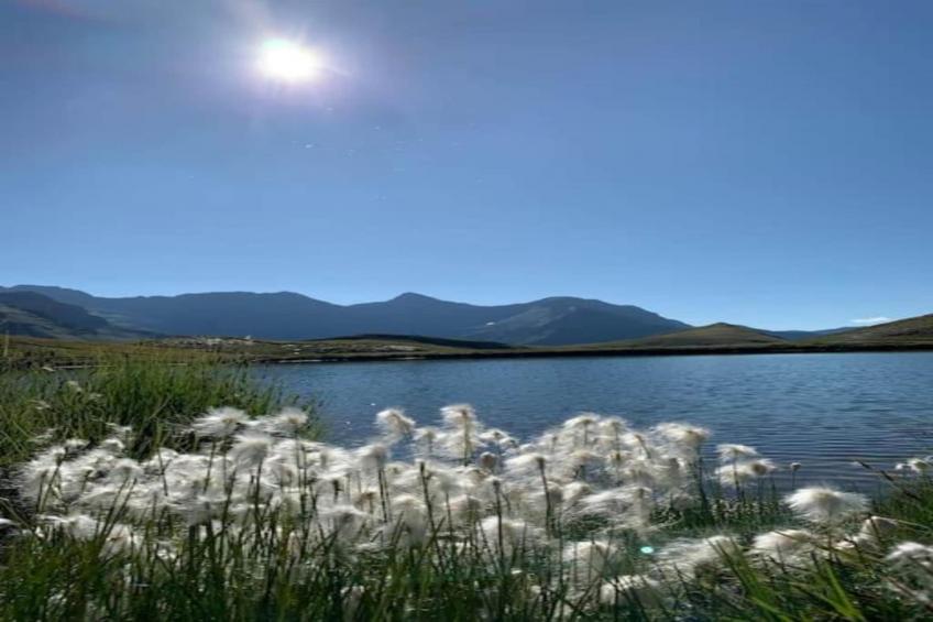 T.Bergerie B N°406 - 2P6C - foto 31