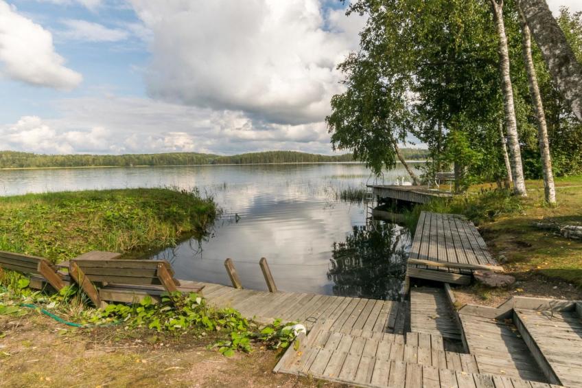 Lokki - foto 10