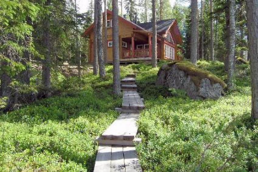 Puolukka - foto 32