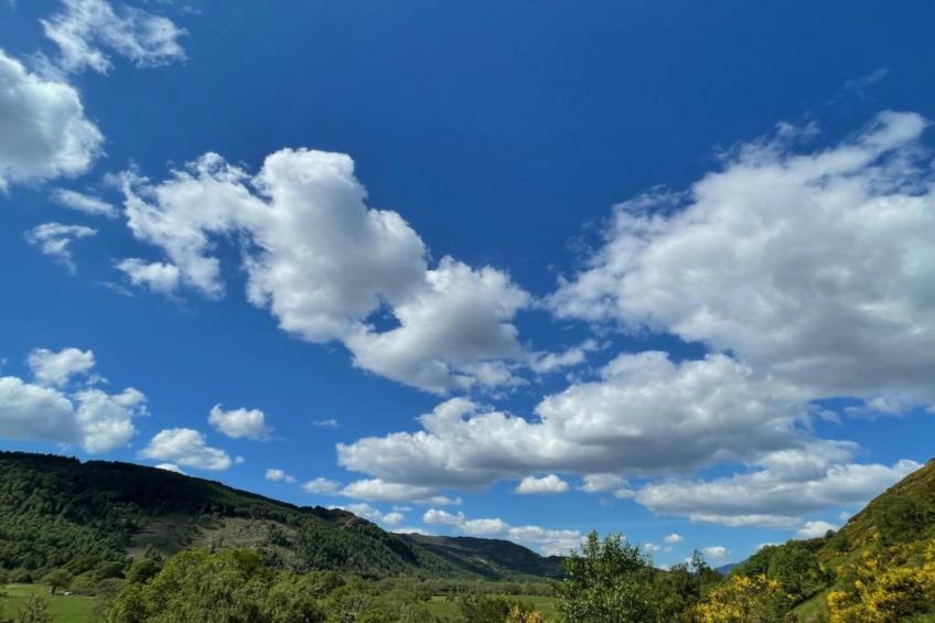 The Bakers Hut - foto 10