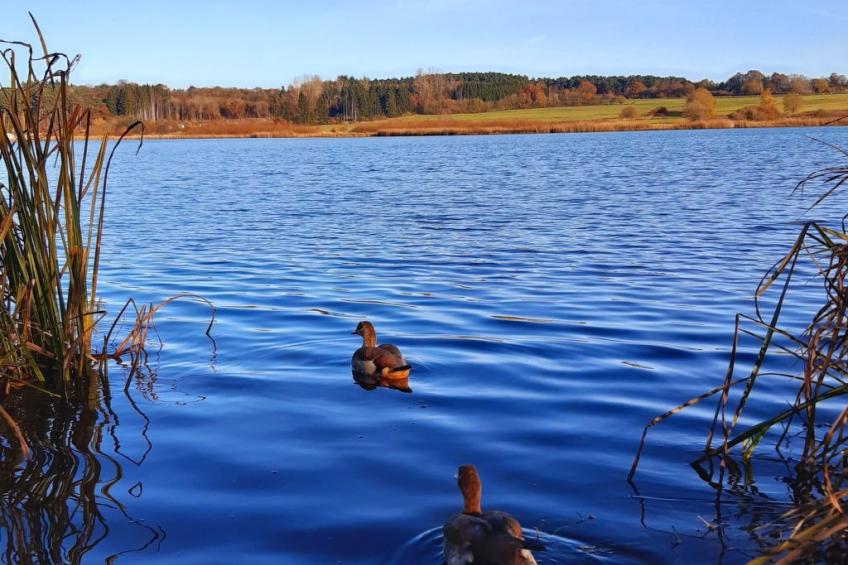 Landhaus Erika - foto 16