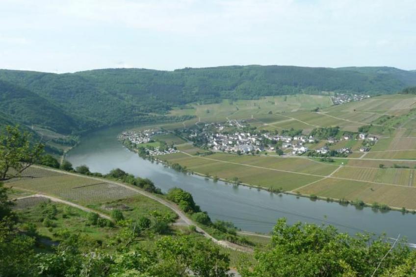 Moseltraum - foto 13