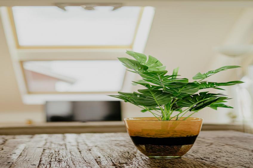 Waterpark de Meerparel 12 - foto 36