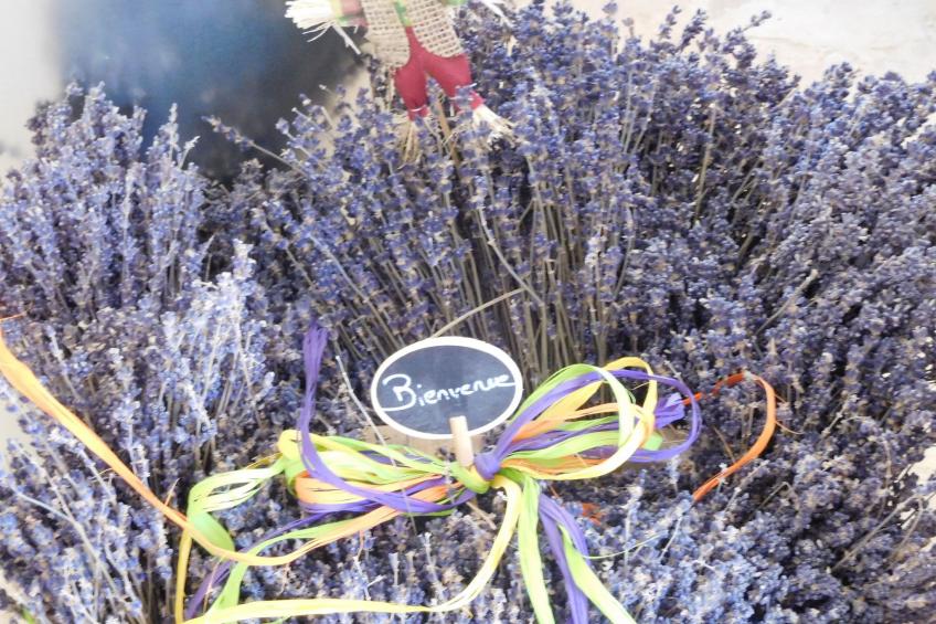 Charmantes Bauernhaus in der Provence - foto 26