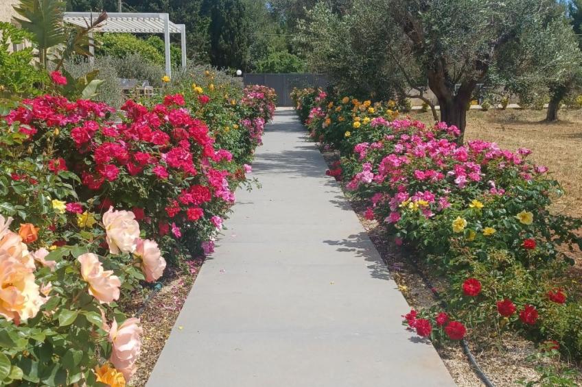 Das "Carolea-Zimmer" zwischen Meer und Landschaft - foto 12