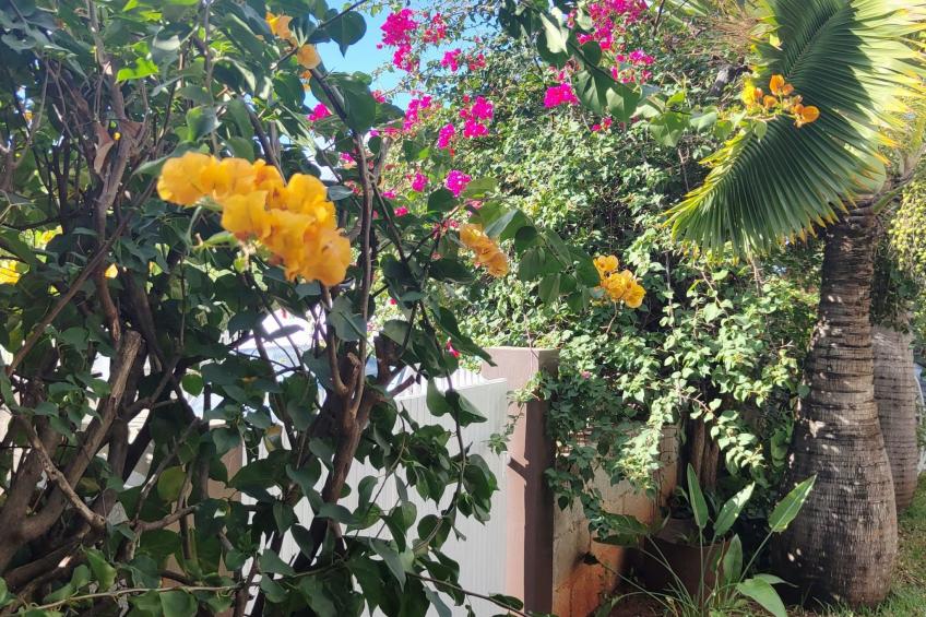 r garden Pointe aux sables - foto 8