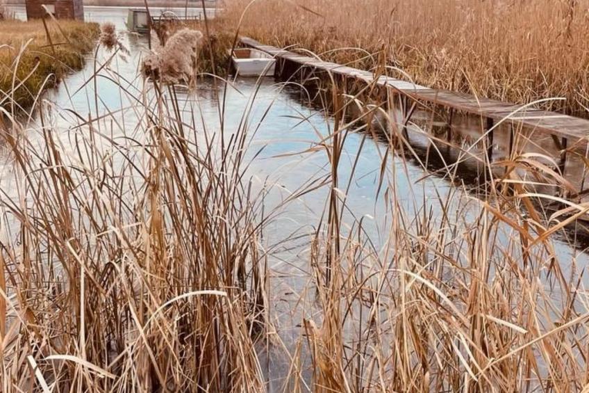 Majoshaza 20 min von Budapest direkt an der Donau - foto 3