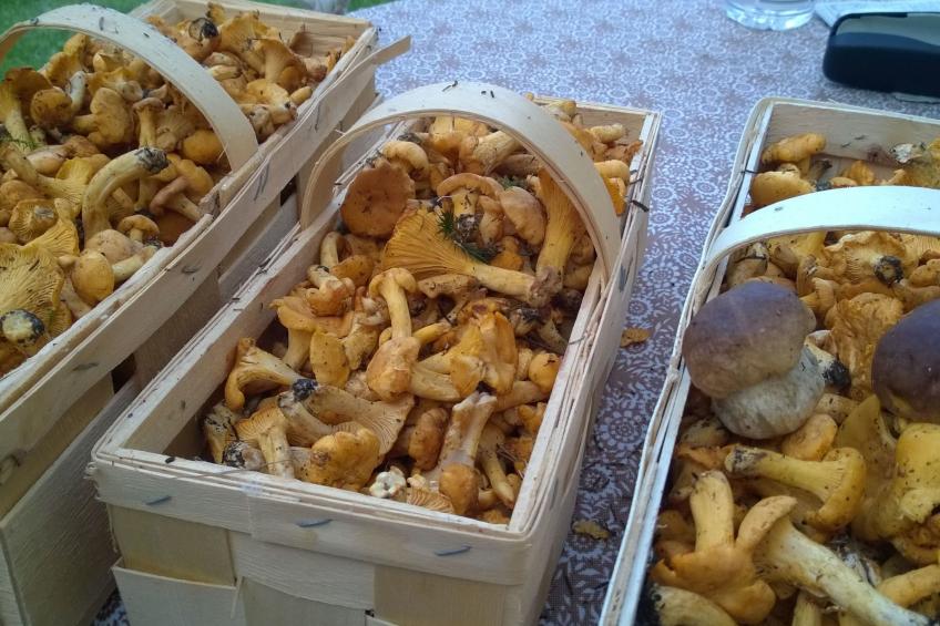 Charmantes Ferienhaus in Vordernberg mit Privatem Pool - foto 39