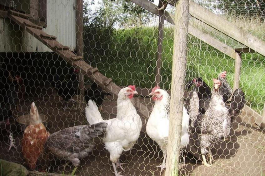 Hof Rodenkrog Fewo 2 - foto 37