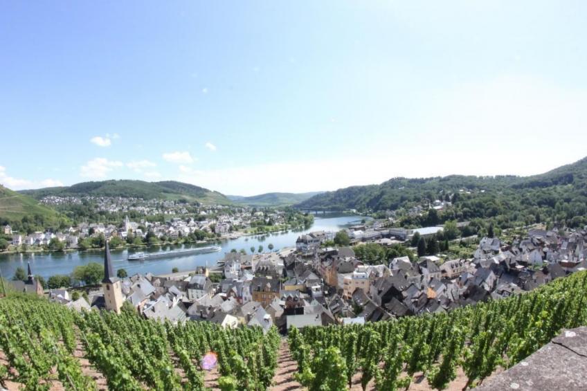 Haus Budinger - foto 11