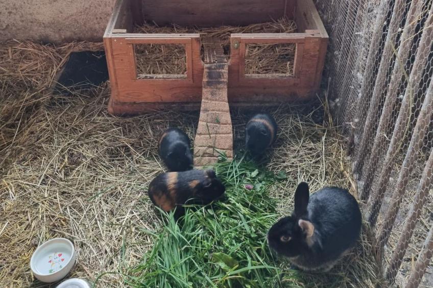 Kulmer Hof - foto 21