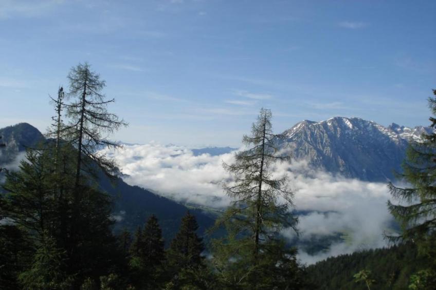 Panorama - foto 32