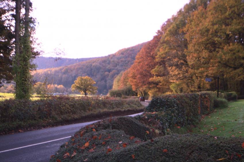 Cottage "Foxes Reach" mit Whirlpool - foto 17