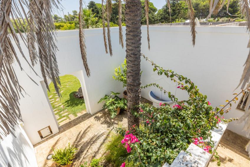 Tenuta Del Leccino - foto 7