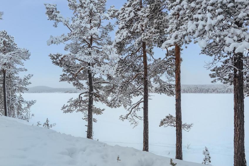 Lemmenliekki 2 - foto 15