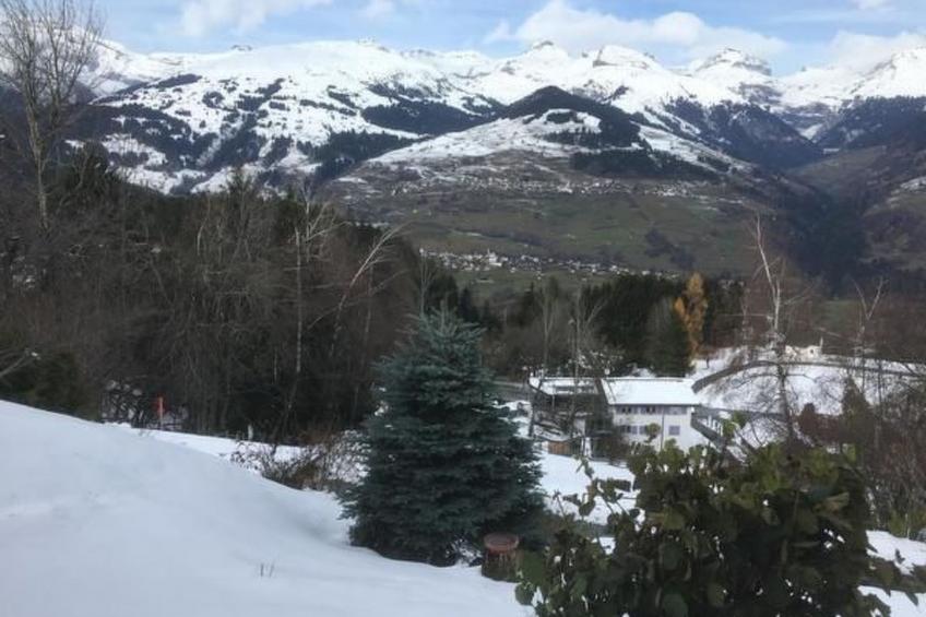 Studio Silberdistel - foto 12