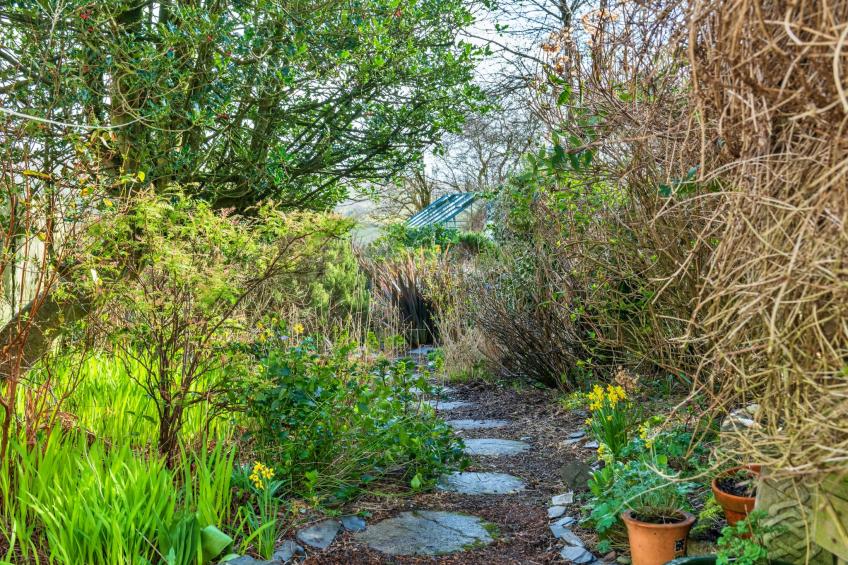 Dolwar Cottage - foto 21