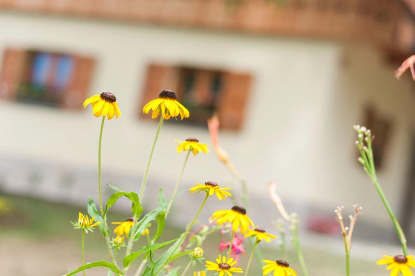 Sunny Two Bedroom Retreat in Beautiful Bizeljsko - Two Bedroom Country House - foto 24