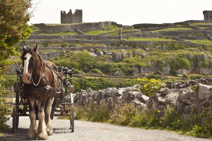 Galway Bay (TR4)Lodge - foto 10