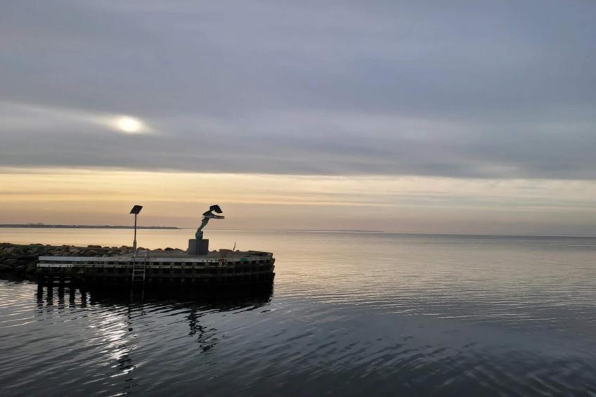 BOGENSE MARINAPARK - foto 17