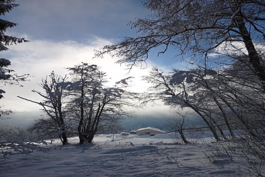 Roßweid Hütte - foto 34