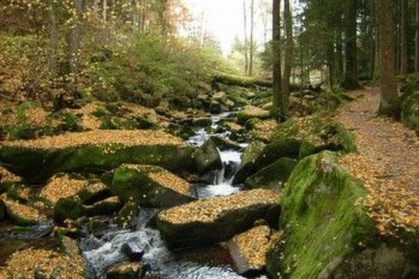 Haus am See mit Fasssauna, Liegewiese und Grill - foto 14