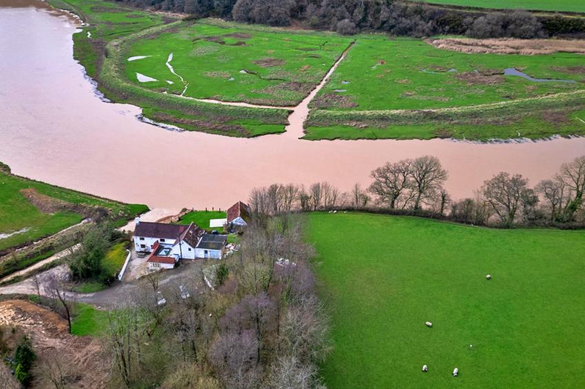 Lower Netherdowns - foto 22