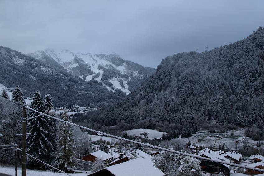 Biches BIB31 MOUNTAIN & QUIET 4 Pers. - foto 18
