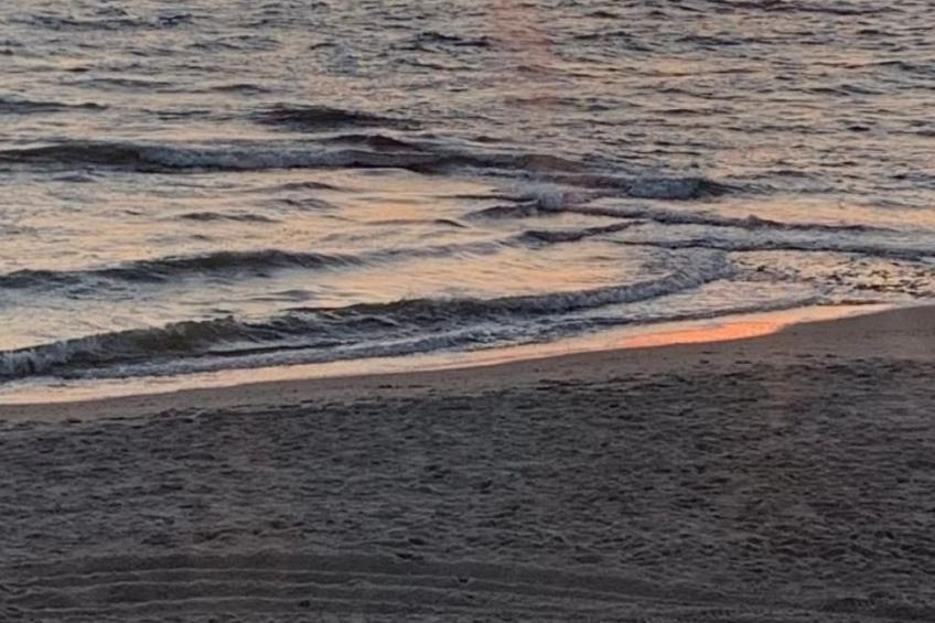 in Dirkshorn - foto 29