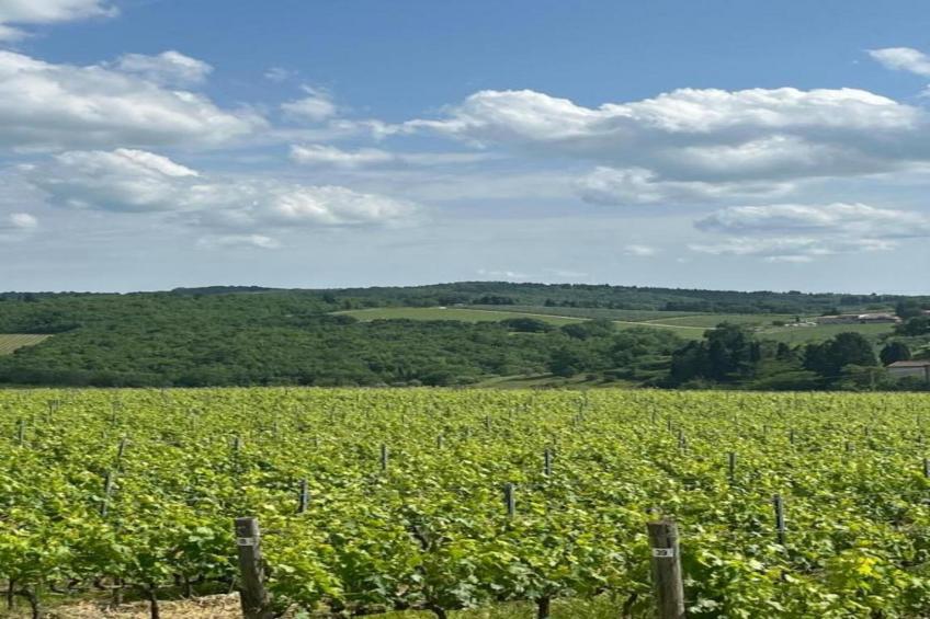 Appartamento 16 - foto 27