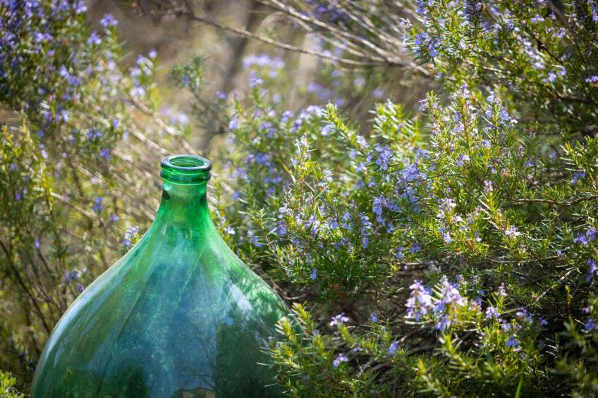 Podere Mencoini Elegante Villa mit Pool und Olivenbäumen - foto 20