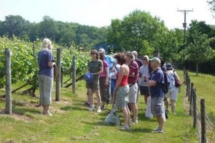 Cottage "Foxes Reach" mit Whirlpool - foto 28