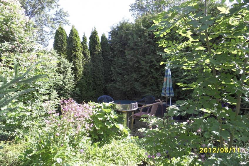 Bei Rerik 3 - foto 13