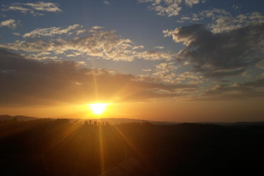Ulivo - foto 39