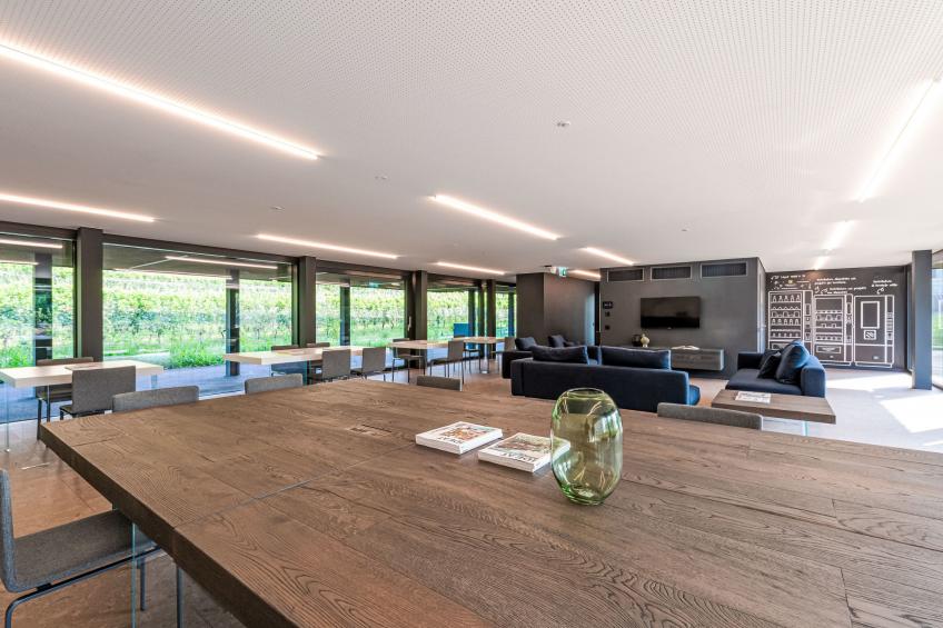 Lo Scudo di Stabio Apt.50m2 - foto 32